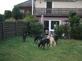 Apartamento Diemelsee Grabación al aire libre 9