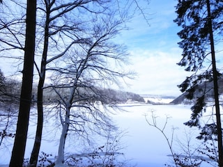 Apartment Diemelsee Environment 19