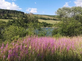 Appartement Diemelsee Environnement 24