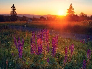 Apartment Diemelsee Umgebung 23