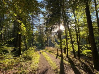 Apartamento Diemelsee Entorno 27