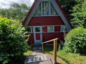 Holiday park Wooden bungalow with a terrace, in a wooded area - Ronshausen - image1