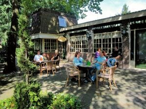 Holiday park Freistehendes Ferienhaus mit Kombi-Mikrowelle in einem Ferienpark in Twente - Hoge Hexel - image1