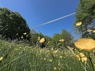 Holiday park Ronshausen Environment 22