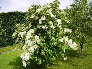 Vakantiepark Lissendorf Buitenaudio-opname 7