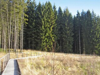 Vakantiepark Lissendorf Omgeving 33
