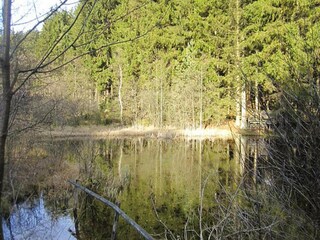 Vakantiepark Lissendorf Omgeving 34
