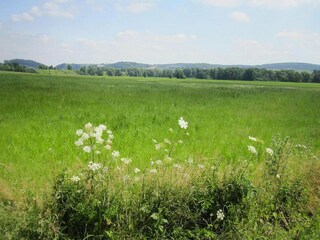 Parco vacanze Lissendorf Ambiente 18