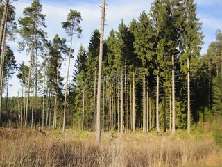 Parco vacanze Lissendorf Ambiente 15