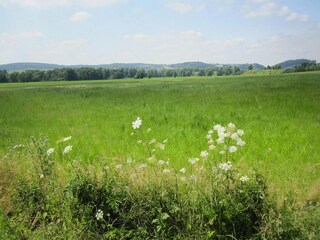 Vakantiepark Lissendorf Omgeving 32