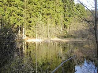 Holiday park Lissendorf Environment 37