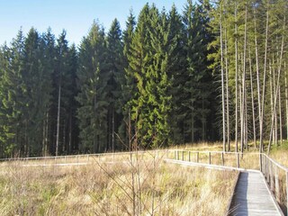 Holiday park Lissendorf Environment 35