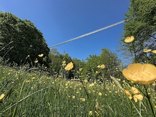 Ferienpark Ronshausen Umgebung 18