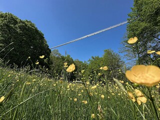 Ferienpark Ronshausen Umgebung 15