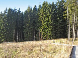 Parco vacanze Lissendorf Ambiente 16