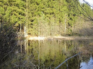 Vakantiepark Lissendorf Omgeving 17