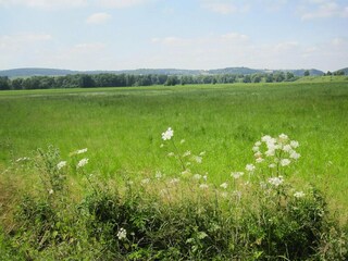 Vakantiepark Lissendorf Omgeving 13