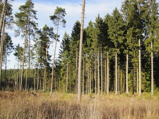 Vakantiepark Lissendorf Omgeving 15