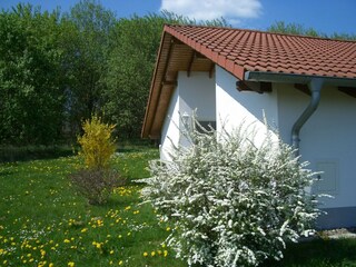 Ferienpark Bodenfelde Außenaufnahme 2