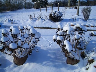 Ferienpark Bodenfelde Außenaufnahme 3