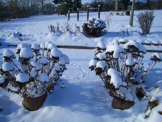 Vakantiepark Bodenfelde Buitenaudio-opname 3