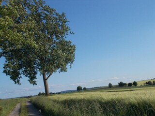 Parc de vacances Bodenfelde Environnement 25
