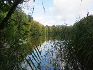 Parc de vacances Bodenfelde Environnement 22