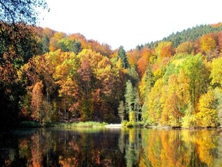 Parco vacanze Bodenfelde Ambiente 23