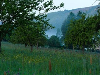 Vakantiepark Bodenfelde Omgeving 27