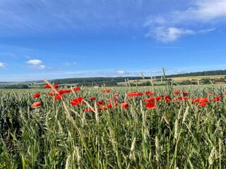 Parco vacanze Bodenfelde Ambiente 24
