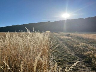 Ferienpark Bodenfelde Umgebung 22