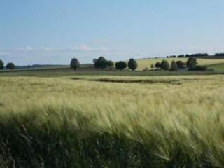 Parc de vacances Bodenfelde Environnement 35