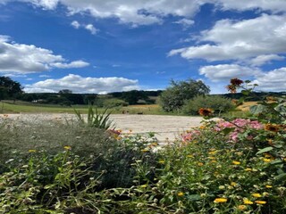 Vakantiepark Bodenfelde Omgeving 37