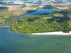 Holiday park Bungalow in der Ferienanlage Belvedere in Grado - Grado - image1