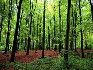 Vakantiepark Den Haag Omgeving 14