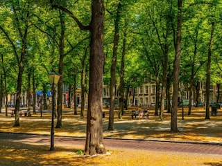 Ferienpark Den Haag Umgebung 25