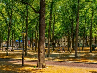 Vakantiepark Den Haag Omgeving 28
