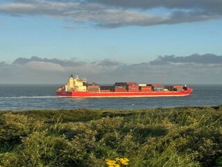 Parco vacanze Dishoek Ambiente 24