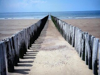 Vakantiepark Dishoek Omgeving 12