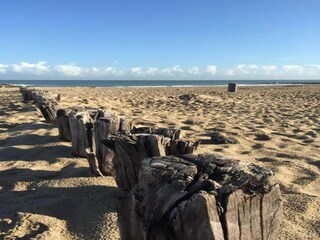 Vakantiepark Dishoek Omgeving 16