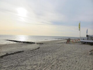 Vakantiepark Dishoek Omgeving 35