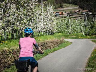 Vakantieappartement Algund Omgeving 39