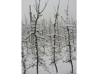 Vakantieappartement Algund Omgeving 35