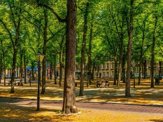 Parc de vacances Den Haag Environnement 18