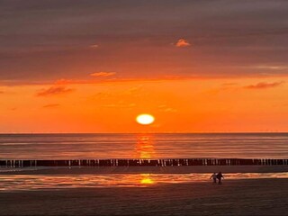 Vakantiepark Dishoek Omgeving 27