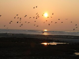 Parque de vacaciones Hollum Entorno 15