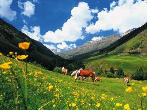 Grande maison de vacances avec jardin et balcon dans l'Ötztal - Champ de longueur - image1