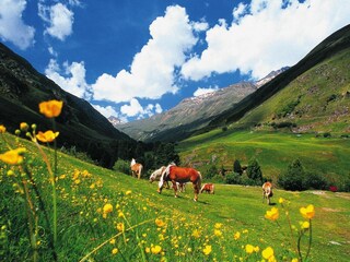 Casa de vacaciones Längenfeld Grabación al aire libre 2