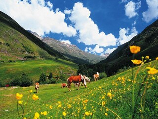Casa de vacaciones Längenfeld Grabación al aire libre 8