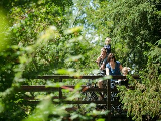 Ferienpark Den Haag Umgebung 10